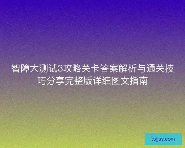 智障大测试3攻略关卡答案解析与通关技巧分享完整版详细图文指南